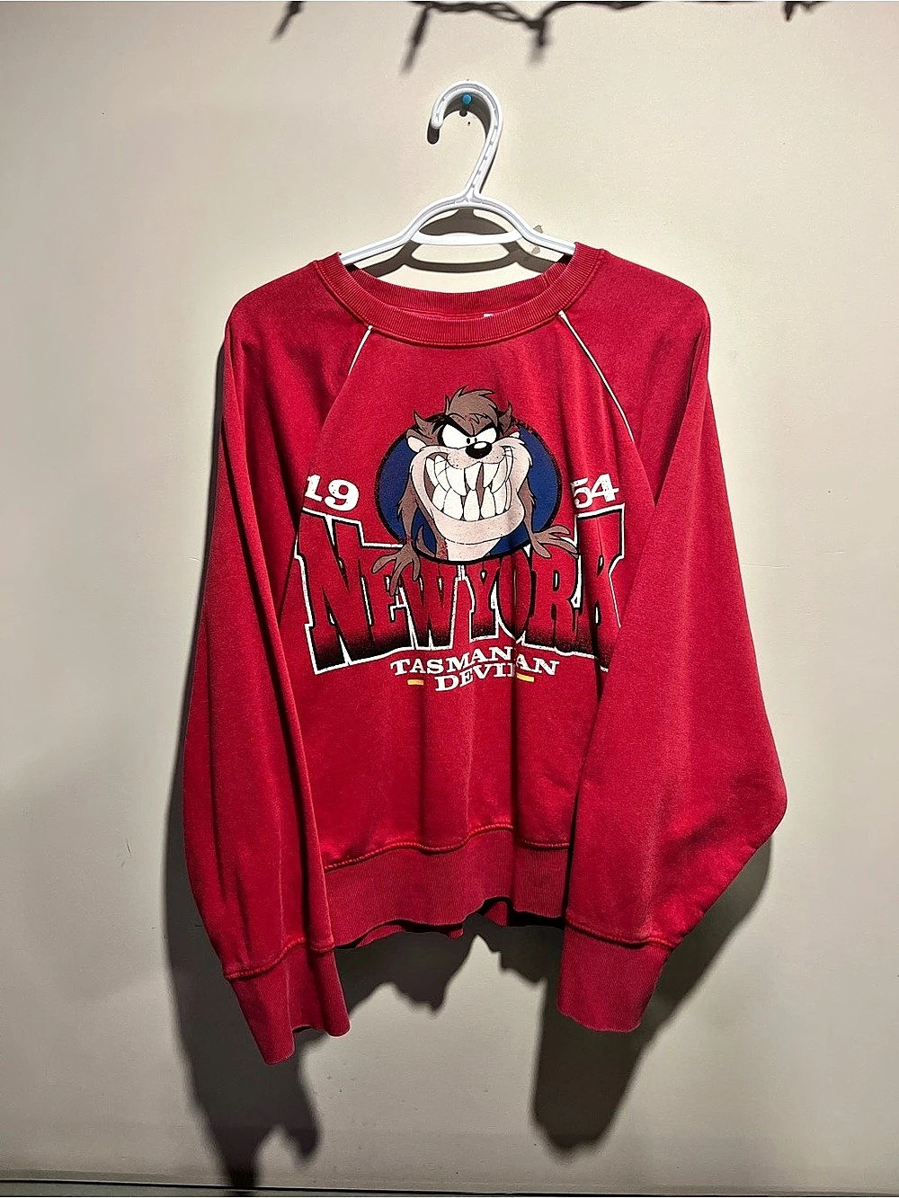 Warner Bros Looney Tunes Graphic Sweatshirt in Red (L)